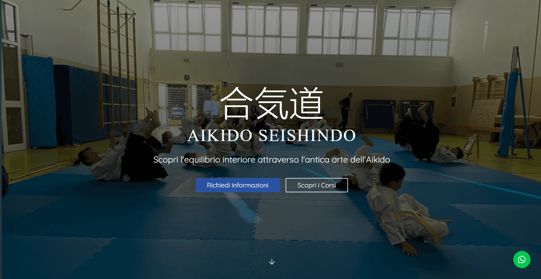 Showcase website for a small martial arts gym